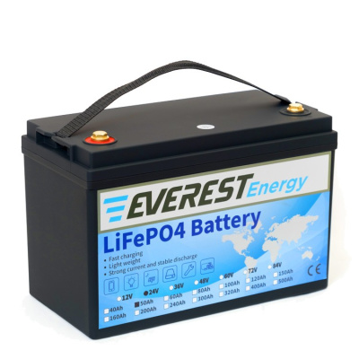 Everest LFP-24V 60Аh литиевый тяговый аккумулятор 