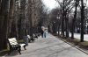 Скамейка чугунная «Парковая тишь» 0,6 м (кресло)